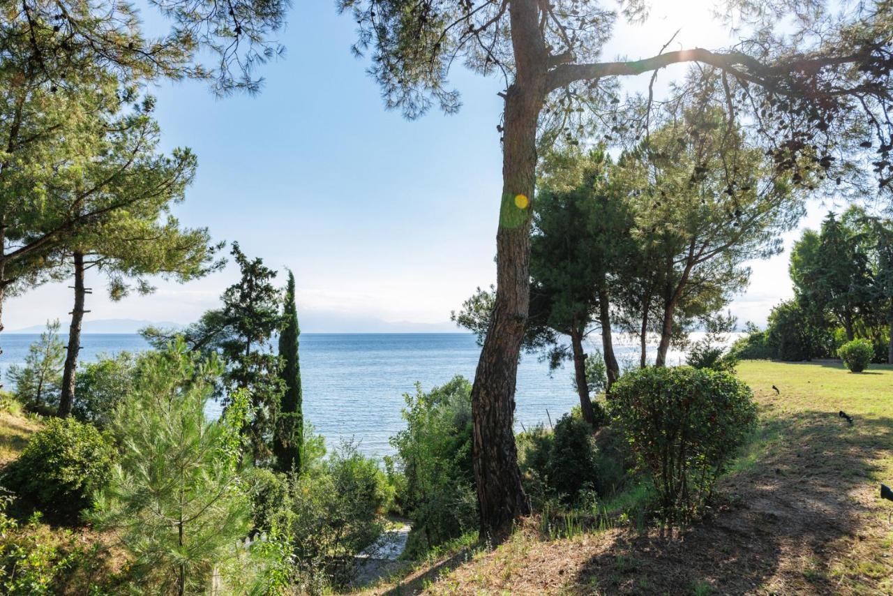 Luna Villa Private Beach Nea Irakleia Exteriör bild